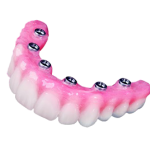 GL Product Images 5 teeth only no background copy
